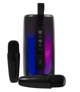 Bocinas PERFECT CHOICE PC-113287