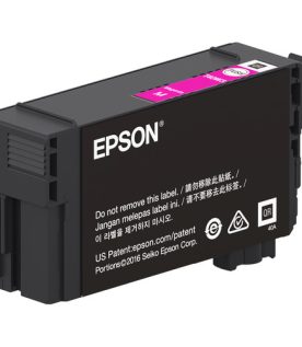 Cartucho EPSON UltraChrome XD2 T40W320