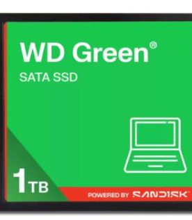 SSD SANDISK WDS100T5G0A