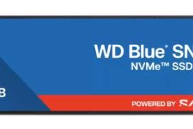 SSD SANDISK WDS100T5B0E