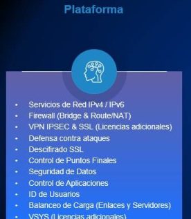 Licencias Hillstone SGSV-A200-IN12U