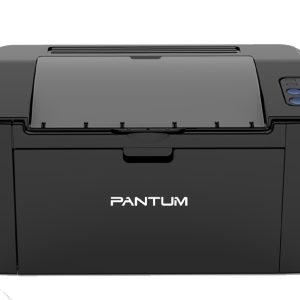 Impresora Pantum P2500W