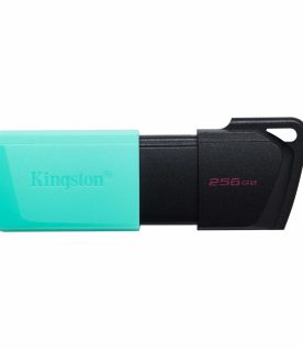 Memoria USB Kingston Technology DATATRAVELER EXODIA M DTXM/256GB