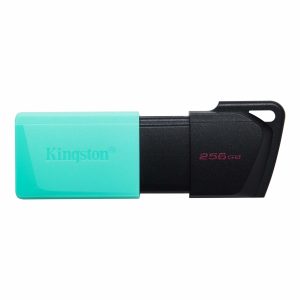 Memoria USB Kingston Technology DATATRAVELER EXODIA M DTXM/256GB
