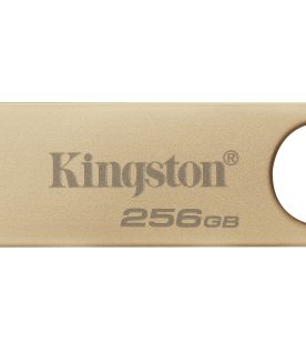 Memoria USB Kingston Technology DATATRAVELER SE9 G3 DTSE9G3/256GB