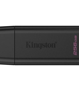 Memorias USB Kingston Technology DTXG2 DTXG2/256GB