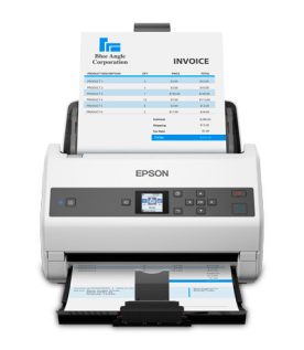 Escáner WORKFORCE EPSON B11B251201