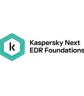 KASPERSKY KL4065ZAMFS